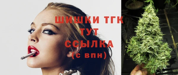 прущие грибы Арсеньев