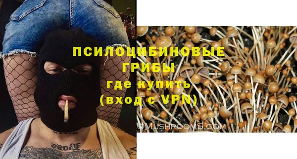 прущие грибы Арсеньев