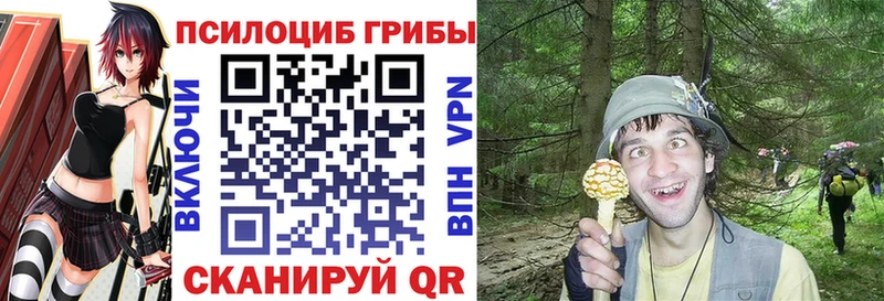 Галлюциногенные грибы Psilocybine cubensis  Нарьян-Мар 